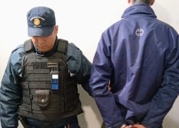 Detuvieron a un sujeto por un robo en un local comercial