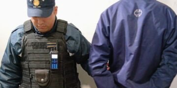 Detuvieron a un sujeto por un robo en un local comercial
